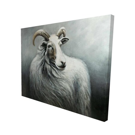 Begin Home Decor 16 x 20 in. Cashmere Goat-Print on Canvas 2080-1620-AN214